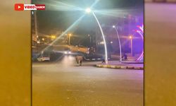 BÜYÜKBAŞ HAYVANLAR CADDEYE İNDİ