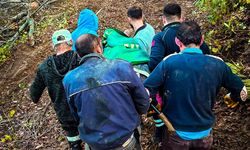 CİDE'DE AĞAÇ KESERKEN YARALANAN İŞÇİ HASTANEYE KALDIRILDI