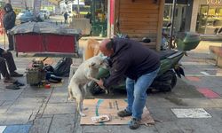 ENGELLİ KÖPEĞE BEBEK GİBİ BAKIYOR