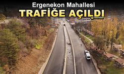 ERGENEKON MAHALLESİ TRAFİĞE AÇILDI