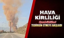 HAVA KİRLİLİĞİ KARABÜKLÜLERİ TEDİRGİN ETMEYE BAŞLADI