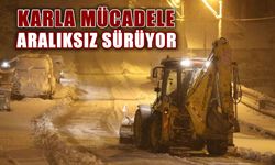 KARLA MÜCADELE ARALIKSIZ SÜRÜYOR