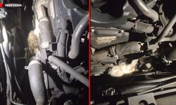 ARACIN MOTORUNA SIKIŞAN KEDİ KURTARILDI