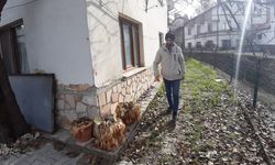 PAZARDAN ALDIĞI MANTARDAN ZEHİRLENEN ADAM BAYGIN HALDE BULUNDU