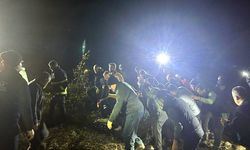 KASTAMONU'DA OTOMOBİL 25 METREDEN ŞARAMPOLE UÇTU