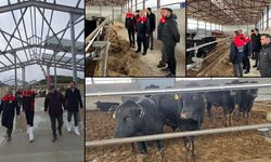 KARABÜK HAYVANCILIK SEKTÖRÜNDE GÜÇLÜ ADIMLAR