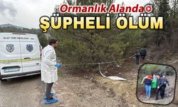 29 YAŞINDAKİ GENÇ ADAM ORMANLIK ALANDA ÖLÜ BULUNDU