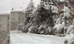 YASİN AYDIN: "KAR BAHANE DEĞİL SORUMLULUK ALMA ZAMANIDIR"