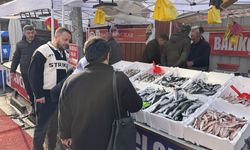 ZONGULDAK'TA HAMSİ ÇOK PALAMUT YOK