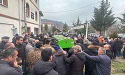 BOLU'DA 100 YILLIK ÇINAR HAYATINI KAYBETTİ