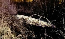 OTOMOBİL AĞACA ÇARPTI: 1 YARALI