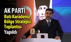 AK PARTİ BATI KARADENİZ BÖLGE STRATEJİSİ TOPLANTISI YAPILDI