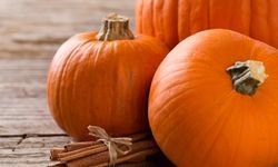 SAĞLIK DEPOSU BALKABAĞININ FAYDALARI