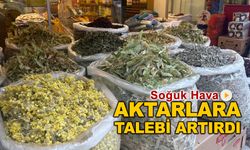 SOĞUK HAVA, AKTARLARA TALEBİ ARTIRDI