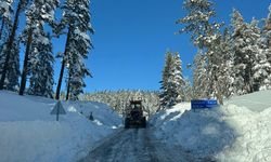 KAPANAN KÖY YOLLARININ TAMAMI ULAŞIMA AÇILDI