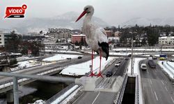 KARABÜK'ÜN SİMGESİ LEYLEK GÖRÜNTÜLENDİ