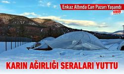 KARIN AĞIRLIĞIYLA ÇÖKEN SERADA CAN PAZARI YAŞANDI