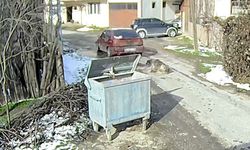 BOLU'DA YATAN KÖPEĞİ EZİP GİDEN SÜRÜCÜ YAKALANDI