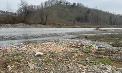 ALAPLI'DA ÇAY YATAĞINDA ONLARCA TAVUK ÖLÜSÜ BULUNDU