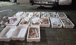 KASTAMONU'DA YASA DIŞI AVLANAN BALIKLARA EL KONULDU