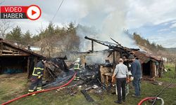 AHIR YANGINI: İKİ KÖPEK TELEF OLDU