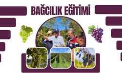 PROF. DR. HASAN ÇELİK SAFRANBOLU'DA ÇİFTÇİLERLE BULUŞACAK