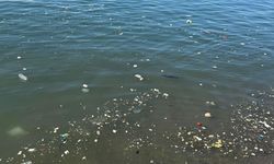 ZONGULDAK'TA SAHİLDE ÇÖP TEPKİSİ