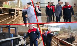 İL MÜDÜRÜ ÖNDER'DEN SUCUK ÜRETİM TESİSİ VE KESİMHANE ZİYARETİ