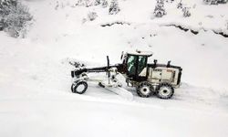 BARTIN'DA KAÇAK AVCI FOTOKAPANA YAKALANDI