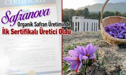 'SAFRANOVA' ORGANİK SAFRAN ÜRETİMİNDE İLK SERTİFİKALI ÜRETİCİ OLDU