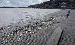 PLASTİK ATIKLAR SAHİLE VURDU