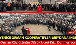 YENİCE'DE ORMAN KOOPERATİFLERİ MEYDANA İNDİ