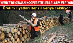 YENİCE’DE ORMAN KOOPERATİFLERİ ALARM VERİYOR