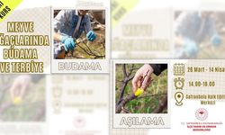 SAFRANBOLU'DA "MEYVE AĞAÇLARINDA BUDAMA VE TERBİYE KURSU" BAŞLIYOR