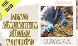 SAFRANBOLU’DA BUDAMA KURSU TARİHİ GÜNCELLENDİ