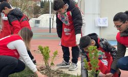 MİNİKLER FİDANLARI TOPRAKLA BULUŞTURDU
