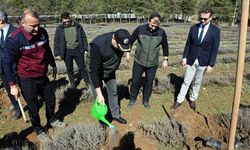 BEŞTEPELER'DE FİDANLAR GELECEK İÇİN TOPRAKLA BULUŞTU