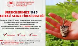 TARIM ARAZİLERİ İÇİN FİDE DESTEĞİ BAŞVURULARI BAŞLADI