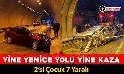 YİNE YENİCE YOLU YİNE KAZA: 2'Sİ ÇOCUK 7 YARALI