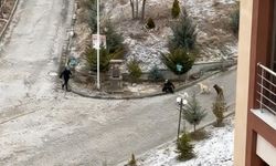 SOKAK KÖPEKLERİNİN SALDIRISINA UĞRAYAN KADINI VATANDAŞLAR KURTARDI