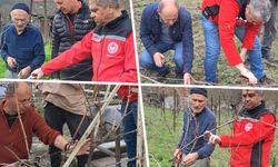 SAFRANBOLU'DA BAĞ ÜRETİCİLERİNE YERİNDE EĞİTİM VERİLDİ