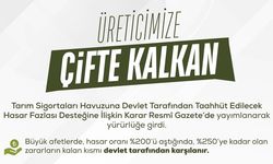 ÜRETİCİYE ÇİFTE KALKAN: TARSİM'DE HASAR FAZLASI DESTEĞİ YÜRÜRLÜKTE