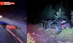 KARAYOLUNDA ATA ÇARPAN ARAÇ HURDAYA DÖNDÜ: 3 YARALI