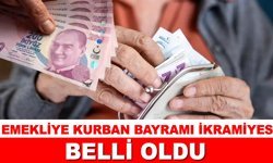 EMEKLİYE KURBAN BAYRAMI İKRAMİYESİ BELLİ OLDU