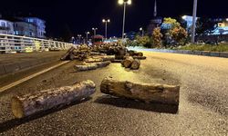 SEYİR HALİNDEKİ KAMYONDA TEHLİKE: ODUNLAR YOLA SAÇILDI