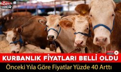 KARABÜK’TE KURBANLIK FİYATLARI BELLİ OLDU