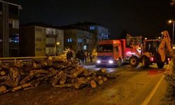 YOLA DÖKÜLEN ODUNLAR KALDIRILDI