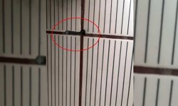 ZONGULDAK'TA SAPKIN EV SAHİBİ TUTUKLANDI