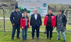 ORGANİK TARIM SAHADA GÜÇLENİYOR