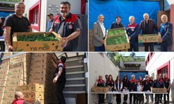 KARABÜK'TE ÇİFTÇİLERE 135 BİN ADET FİDE